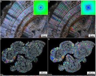 POL only and POL and Phase contrast (Top left and right, respectively); Crossed Nicols Vs Circular Polarization (bottom left and right, respectively) images showing improved visualization of nanolayers (confirmation of inset from Fourier frequency space). Image provided by Mayandi Sivaguru, Jessica Saw and Bruce Fouke.