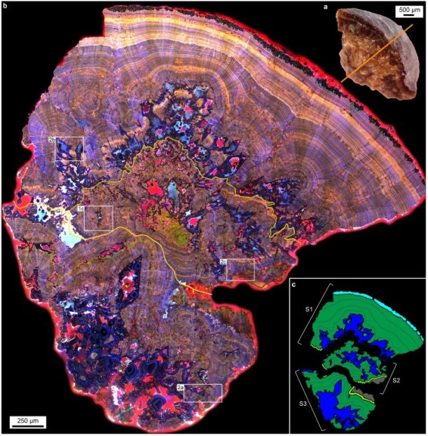 A tiled (20x20, 400 images x 3 channels= ~1200 images) 405, 488 and 561 nm ex and their corresponding emission detected using the ZEISS LSM 880 confocal system showing a single stone could be actually a combination of 3 stone complex. Image provided by Mayandi Sivaguru, Jessica Saw and Bruce Fouke.