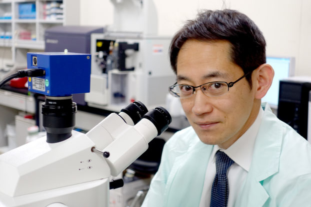 The Ishikawa laboratory at the RIKEN Center for Integrative Medical Sciences is working on new therapeutic strategies to improve outcomes in leukemia patients. 