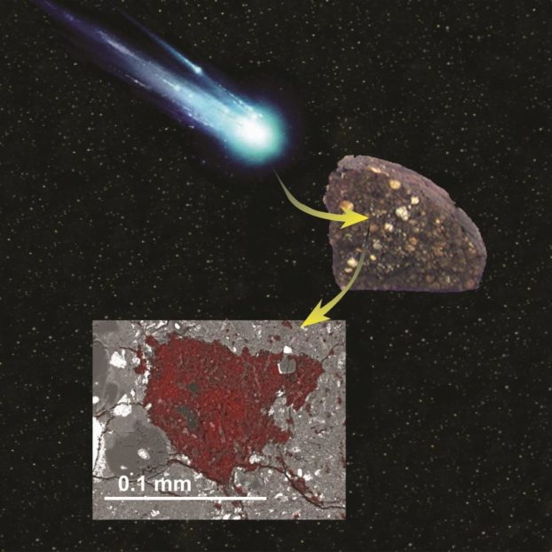 The lucky pathway of LaPaz 02342 xenolith from a disrupted comet