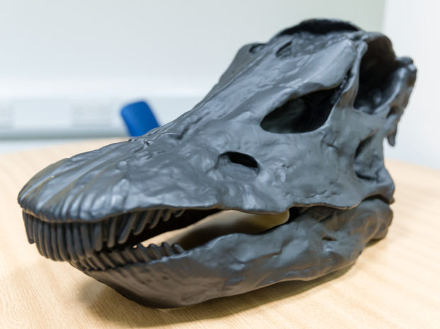 A high-resolution 3D model of a dinosaur skull