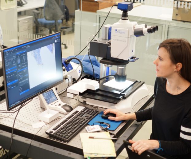 ZEISS Axiozoom V.16 helps to repair butterfly wings.