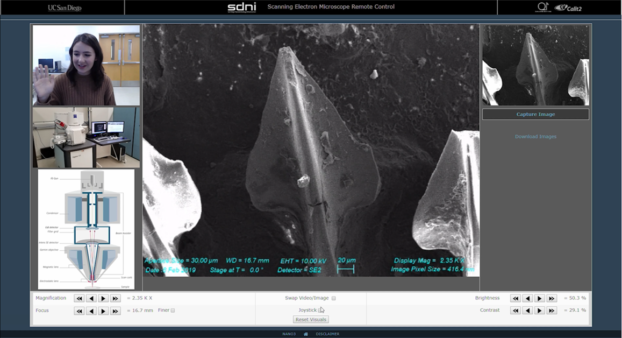 Online interface to ZEISS Sigma 500