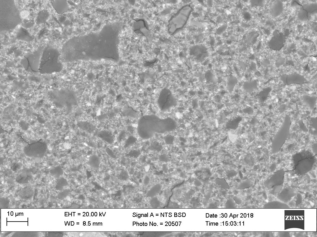 SEM-Micrograph-Bio-C Pulpo-Image1