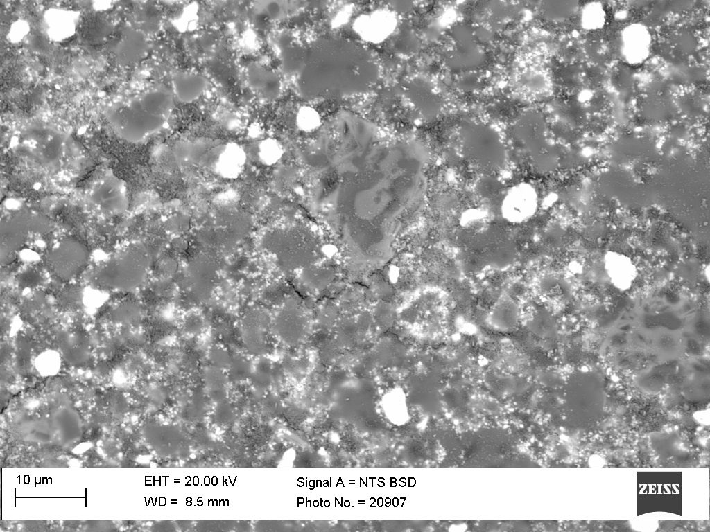 SEM-Micrograph-Bio-C Pulpo-Image2