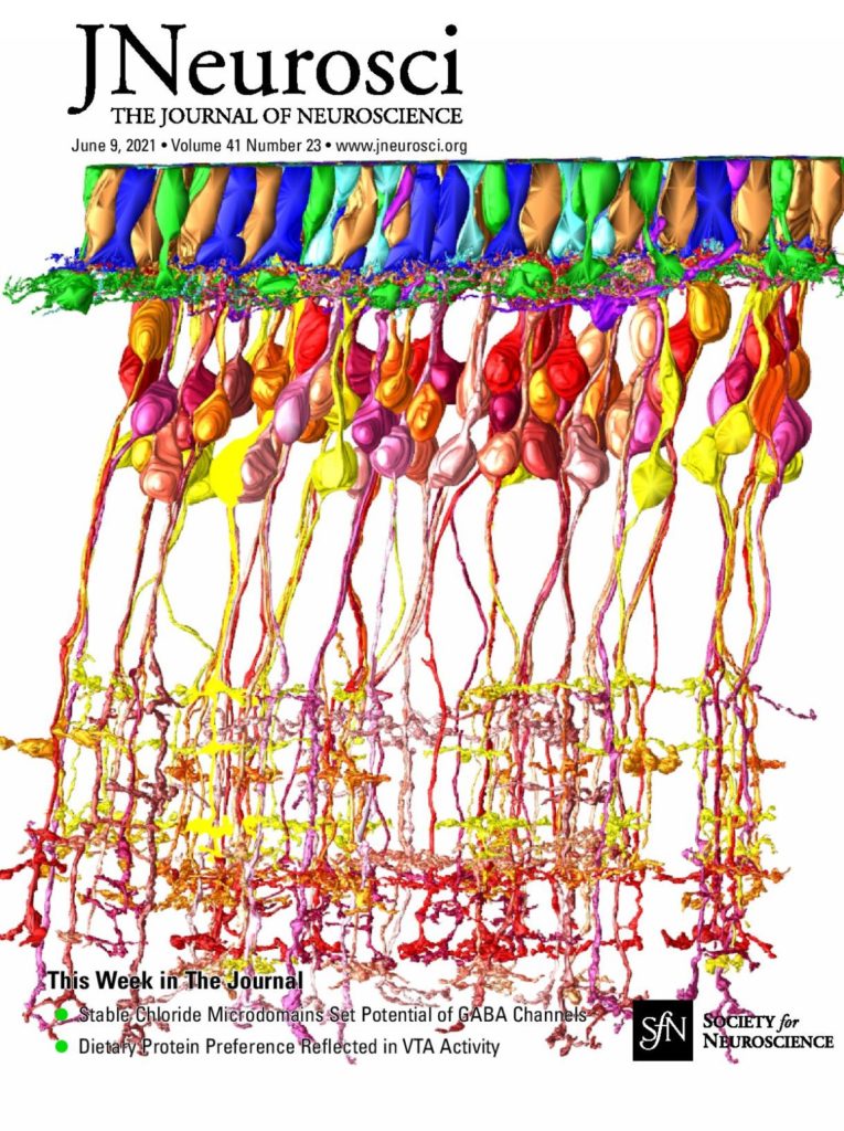 Cover_Image_Journal_of_Neuroscience_9_June_2021