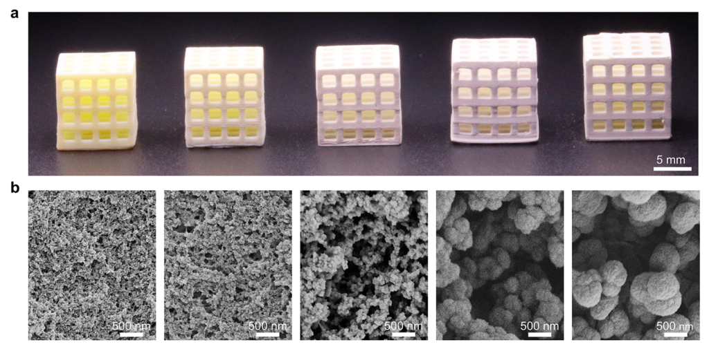 3D printed porous architecture with different sub-micrometer pore size. a) Photographs showing the macroscopic geometry. b) scanning electronic images showing the internal porous structure. Image courtesy of Dr. Pavel Levkin, Karlsruhe Institute of Technology, Germany