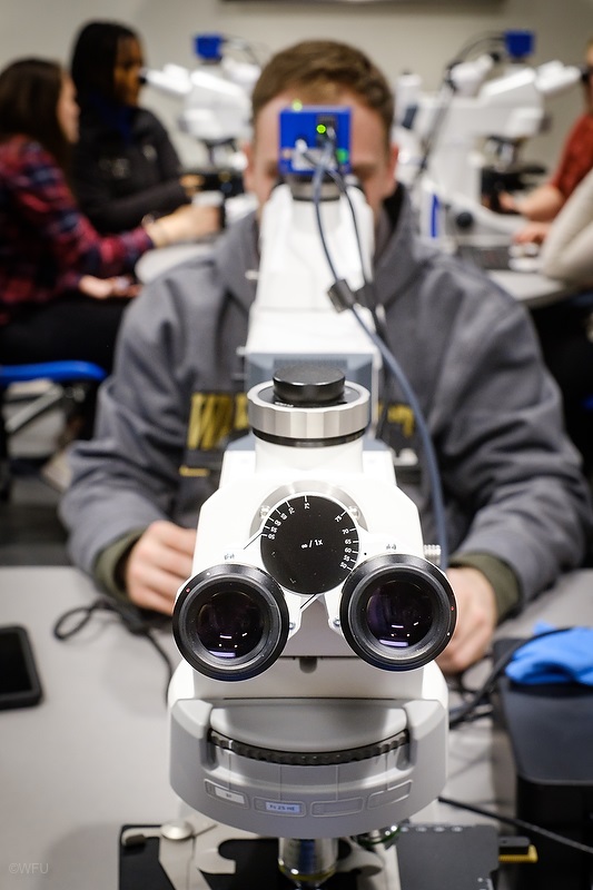 Biology students work in the microscopy lab viewing flagellar parasites in the Parasitology class taught by Dr. Regina Joice Cordy, Wake Forest University, USA.