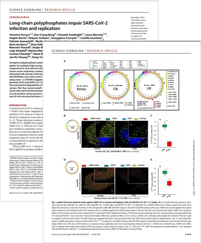 Ferrucci et al., Science Signaling, 14:690